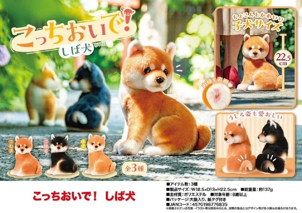 Shiba Inu ¡Ven aquí! — peluche grande (Yell) · gachapon coleccionable