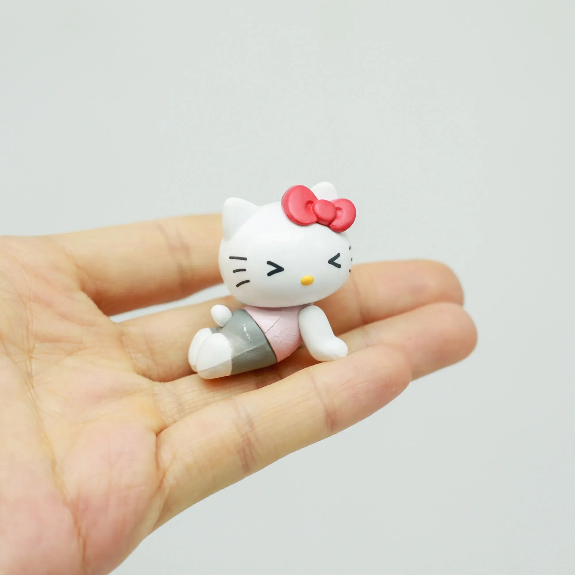 Hello Kitty y sus amigos