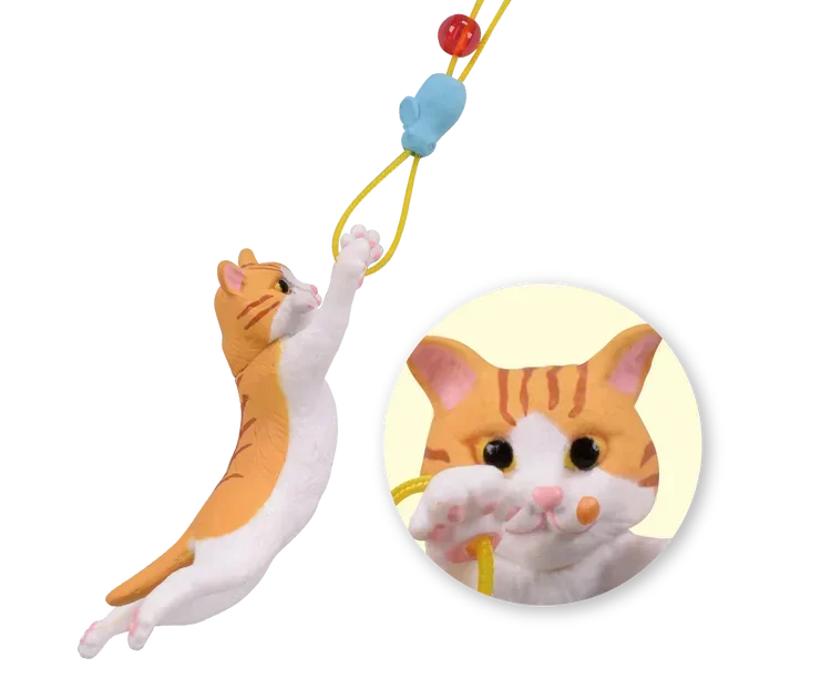 Gato atrapando una pelotita