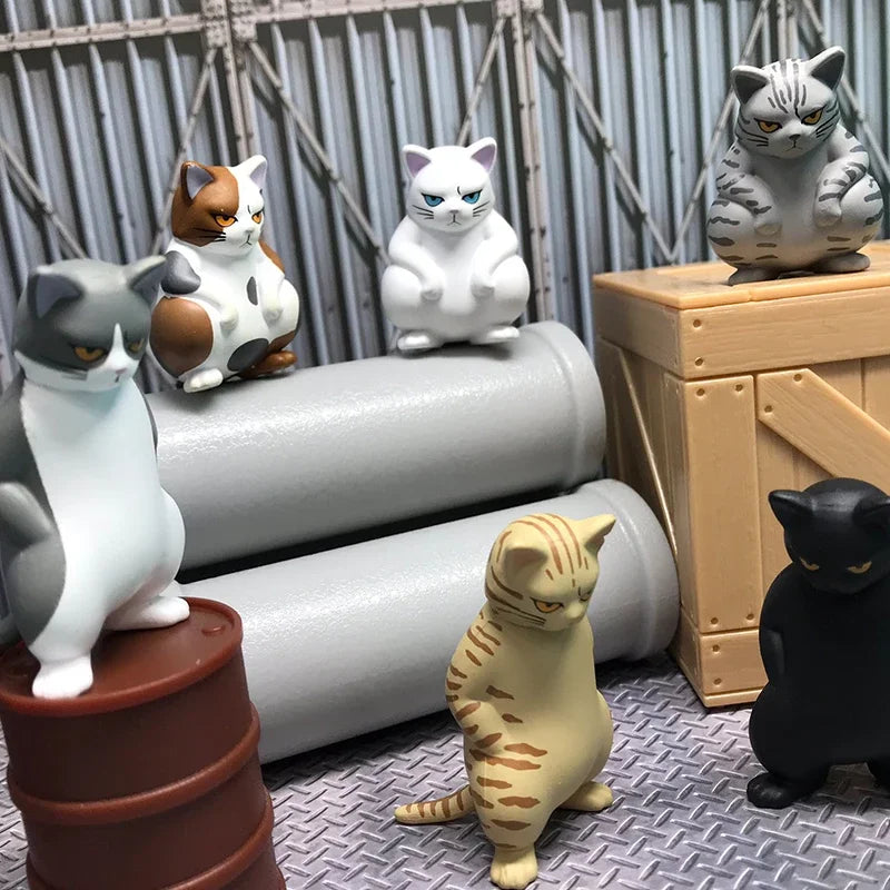 Gato pandillero