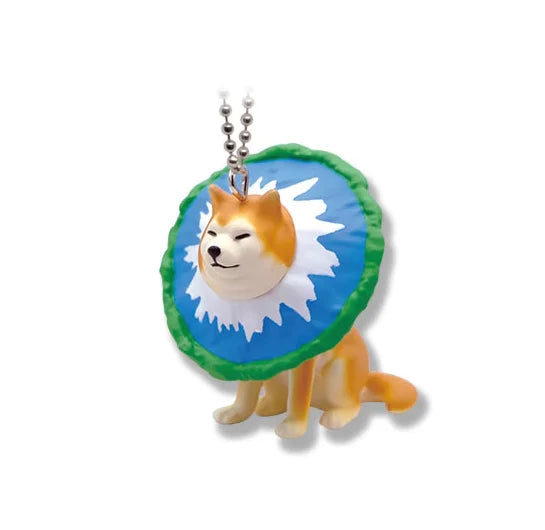 Shiba Inu kawaii