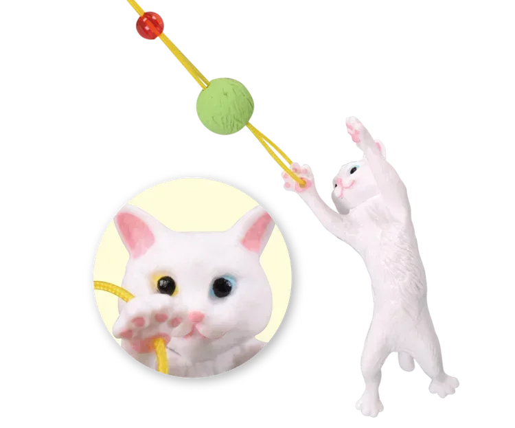 Gato atrapando una pelotita