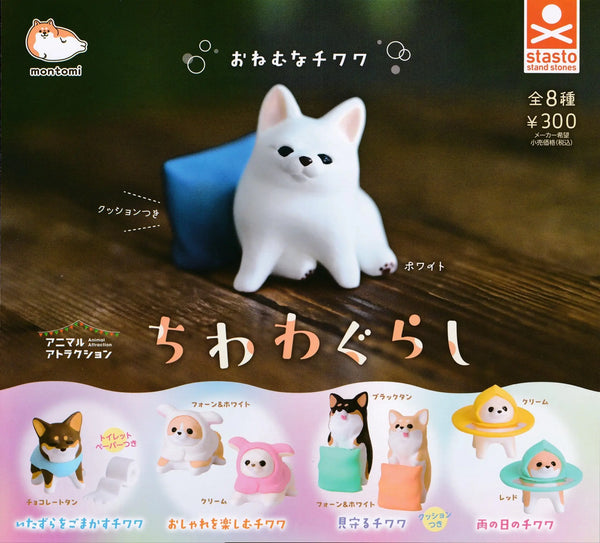 Animal atracción — chihuahuas (Stasto) · gachapon coleccionable