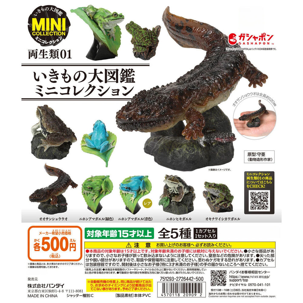 Anfibios 01 — ranas de colección · gachapon coleccionable